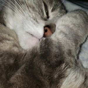 Meet your Posher, Luis